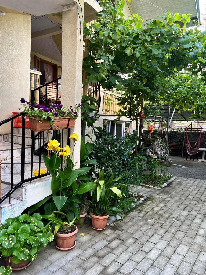 Guest House Mari Ureki Exterior photo